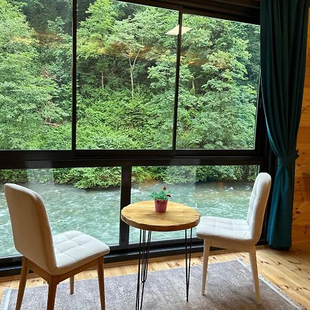 Ardeşen Kiana Bungalov Bed & Breakfast エクステリア 写真