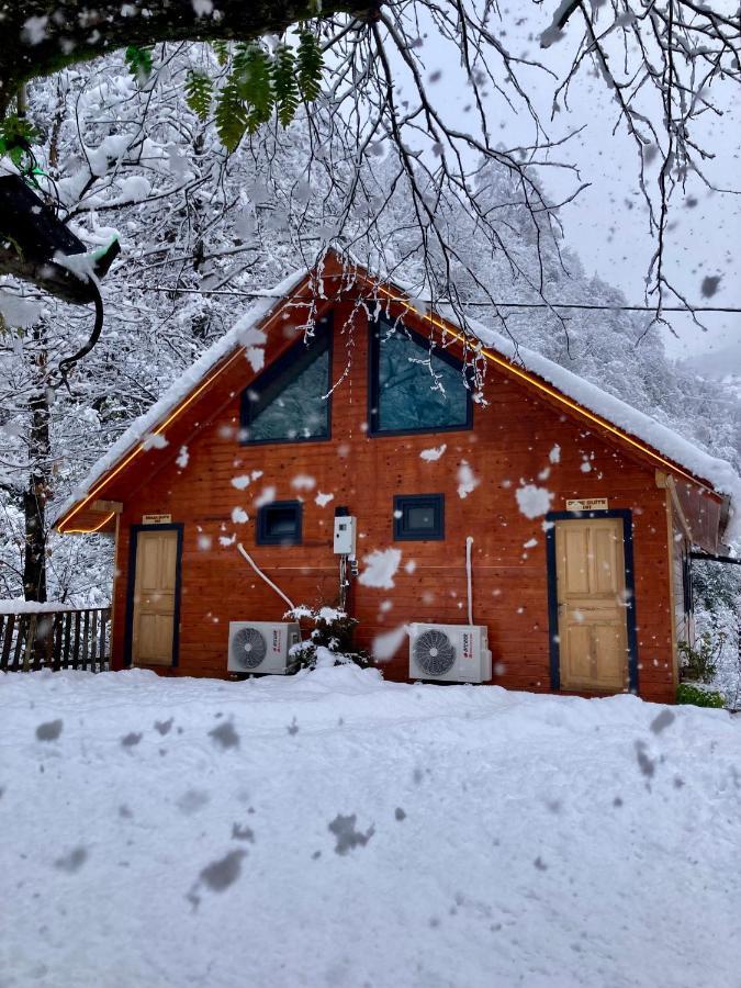 Ardeşen Kiana Bungalov Bed & Breakfast エクステリア 写真