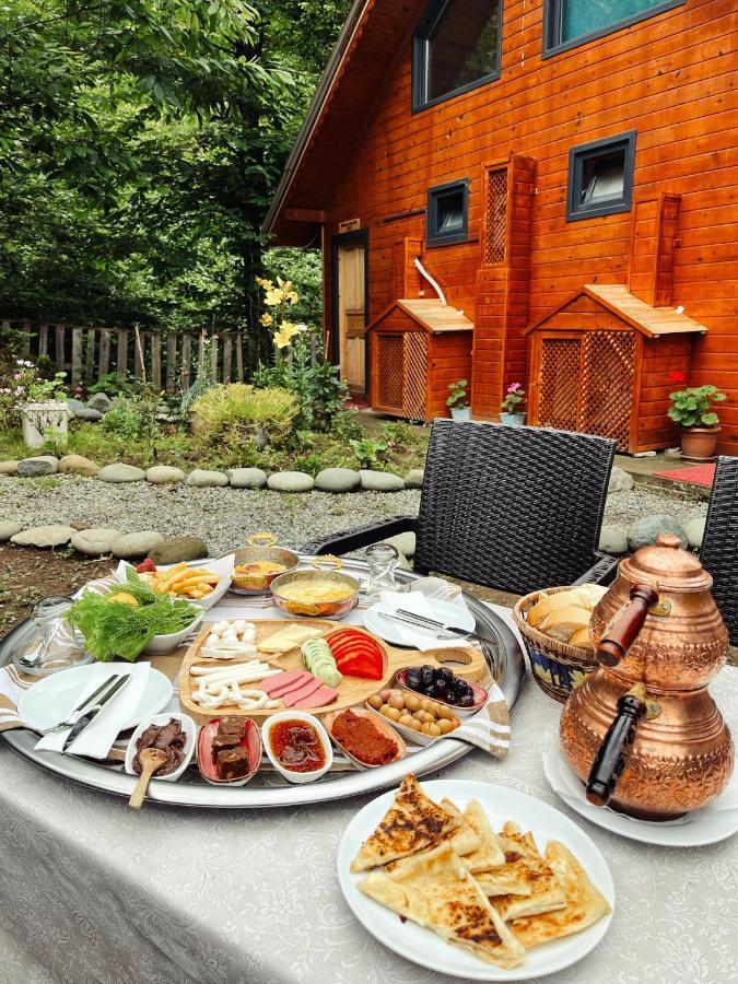 Ardeşen Kiana Bungalov Bed & Breakfast エクステリア 写真