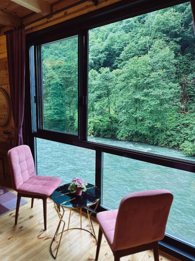 Ardeşen Kiana Bungalov Bed & Breakfast エクステリア 写真